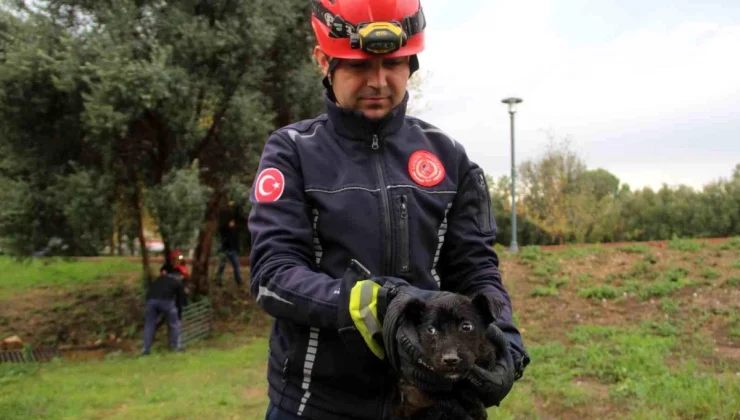 Antalya’da Kanal İçinde Mahsur Kalan Yavru Köpek İtfaiye Tarafından Kurtarıldı