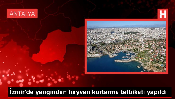 İzmir’de Hayvan Kurtarma Tatbikatı Gerçekleştirildi