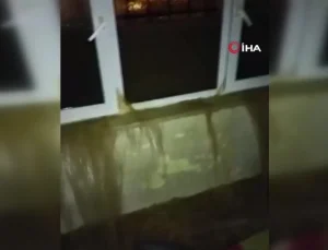Depremde yıkılan evden sağ çıktı, Antalya’da kaldığı ev sular altında kaldı