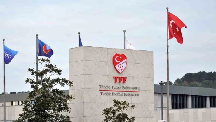 TFF, 9 Kulübü PFDK’ya Sevk Etti