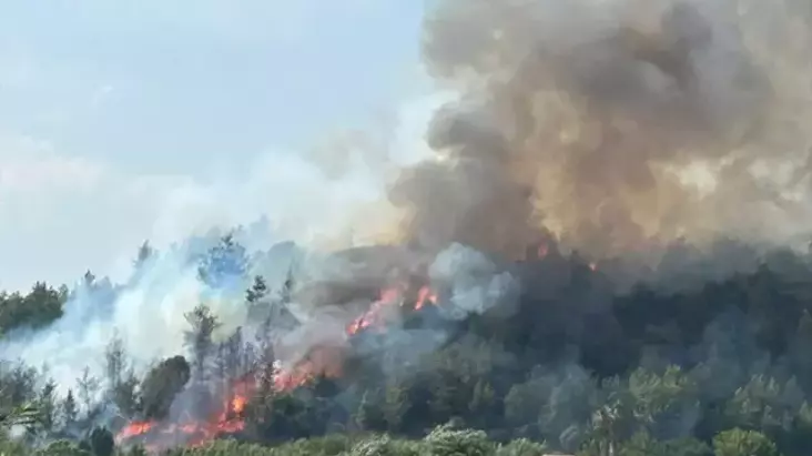 Antalya’da Orman Yangınına Havadan ve Karadan Müdahale