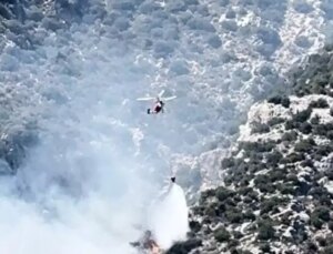 Orman Yangını Antalya’da Kontrol Altına Alındı