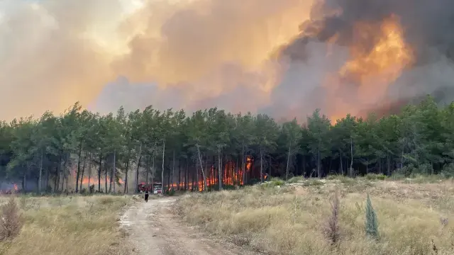 Antalya'da 3 ayrı orman yangını kontrol altına alındı, bir ilçede daha yangın çıktı