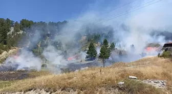 Antalya’da Orman Yangınları Kontrol Altına Alındı
