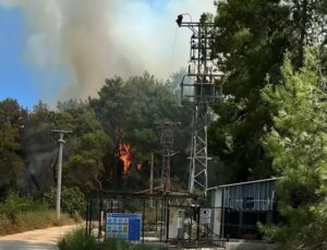 Manavgat’ta Orman Yangınıyla Mücadele Ediliyor