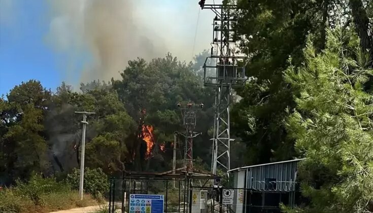 Manavgat’ta Orman Yangınıyla Mücadele Ediliyor