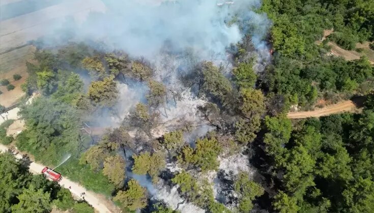 Manavgat’ta Orman Yangını Söndürüldü