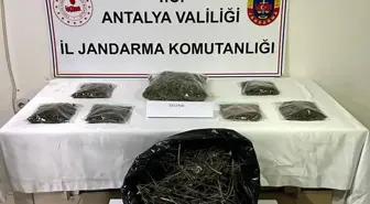 800 gram kubar esrar Alanya’da operasyonla ele geçirildi.