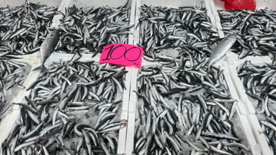 Fiyatı 100 liraya düştü, kapış kapış gidiyor