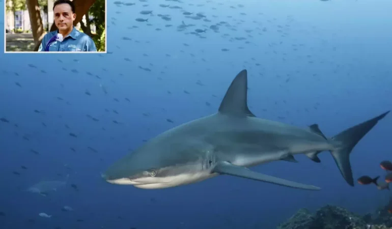 Deniz biyoloğu Hoyos, köpekbalığı saldırısından sağ kurtuldu ve deneyimini paylaştı